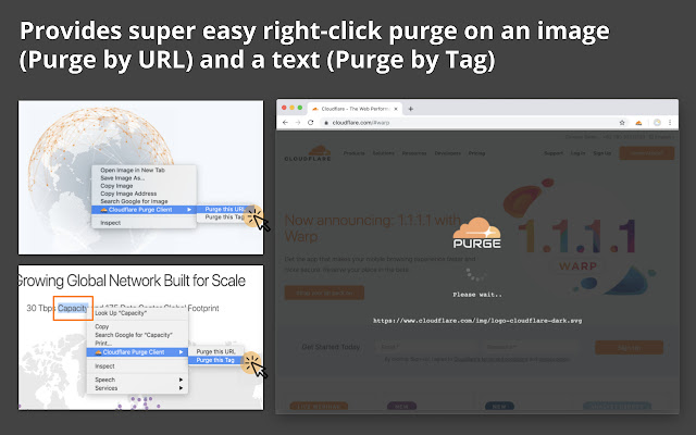 Cloudflare Purge Client chrome谷歌浏览器插件_扩展第3张截图