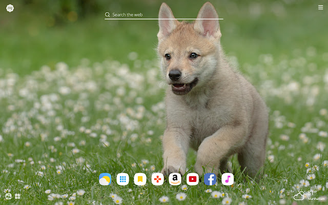 My Wolfdog - Lovely Puppy & Dog HD Wallpapers chrome谷歌浏览器插件_扩展第3张截图