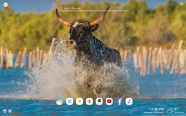 My Bull HD Wallpapers New Tab Theme chrome谷歌浏览器插件_扩展第3张截图