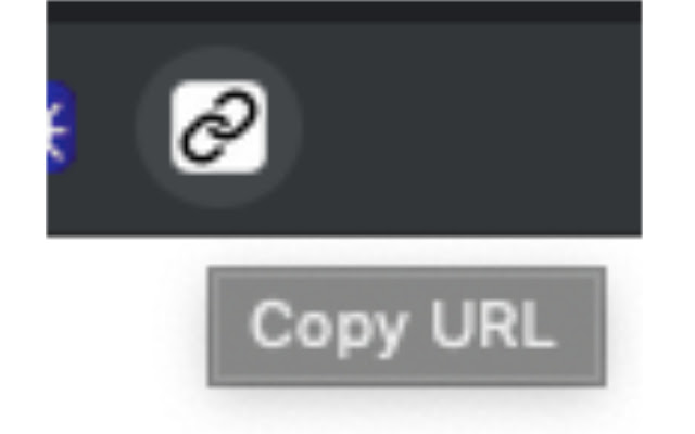 Quick Copy URL chrome谷歌浏览器插件_扩展第1张截图