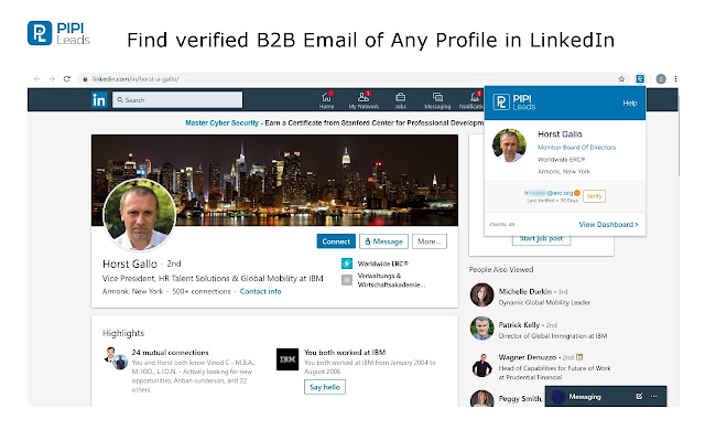 LinkedIn Email Finder – PIPILEADS chrome谷歌浏览器插件_扩展第1张截图