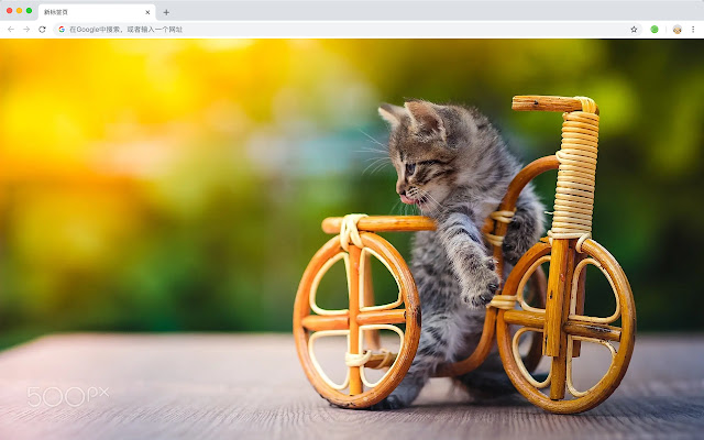 自行车 新标签页 高清壁纸 流行运动 主题 chrome谷歌浏览器插件_扩展第2张截图