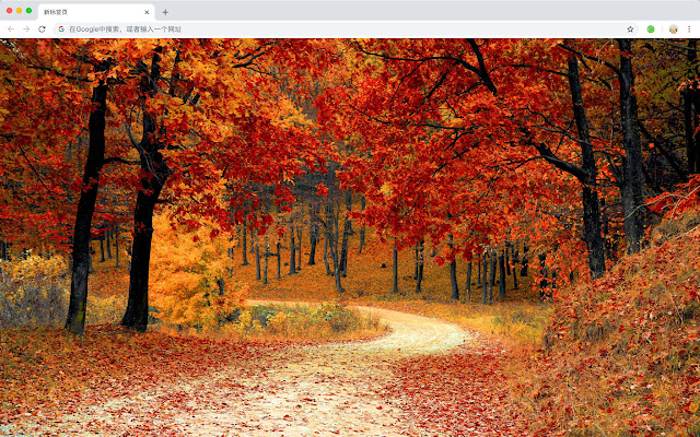秋季 新标签页 高清壁纸 热门风景 主题 chrome谷歌浏览器插件_扩展第4张截图