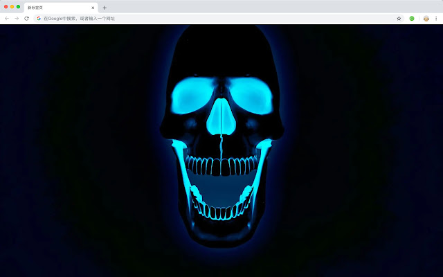 骷髅 高清壁纸 新标签页 热门骨骼 主题 chrome谷歌浏览器插件_扩展第3张截图
