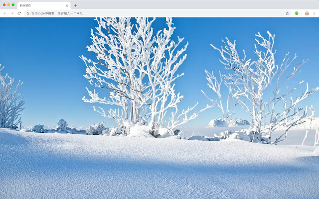 冬日雪 热门景色 高清壁纸 新标签页 主题 chrome谷歌浏览器插件_扩展第2张截图
