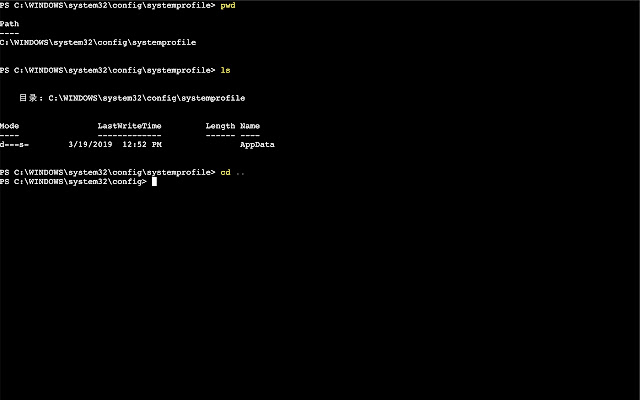 nShell chrome谷歌浏览器插件_扩展第2张截图
