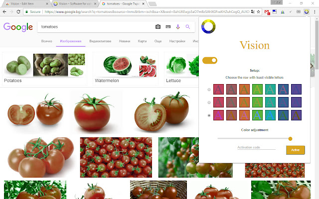 Vision chrome谷歌浏览器插件_扩展第4张截图