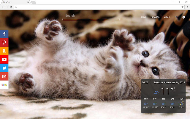 Cats New Tab Page chrome谷歌浏览器插件_扩展第1张截图