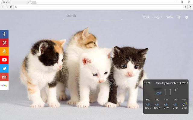 Cats New Tab Page chrome谷歌浏览器插件_扩展第2张截图