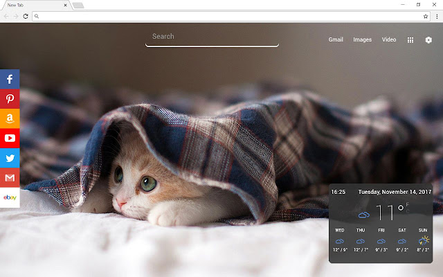 Cats New Tab Page chrome谷歌浏览器插件_扩展第4张截图