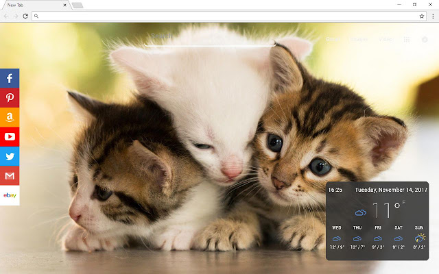 Cats New Tab Page chrome谷歌浏览器插件_扩展第5张截图