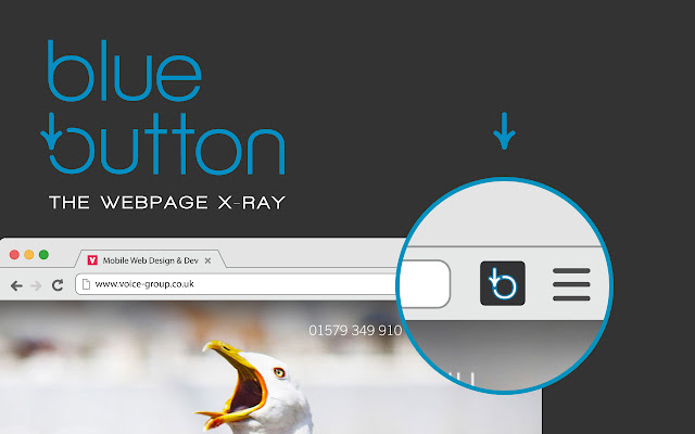 Blue Button | the webpage X-ray chrome谷歌浏览器插件_扩展第1张截图