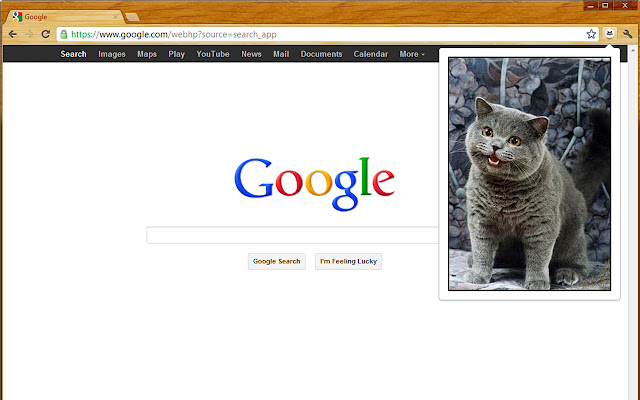 cats. chrome谷歌浏览器插件_扩展第1张截图