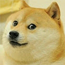 WOW  DOGE Reactions