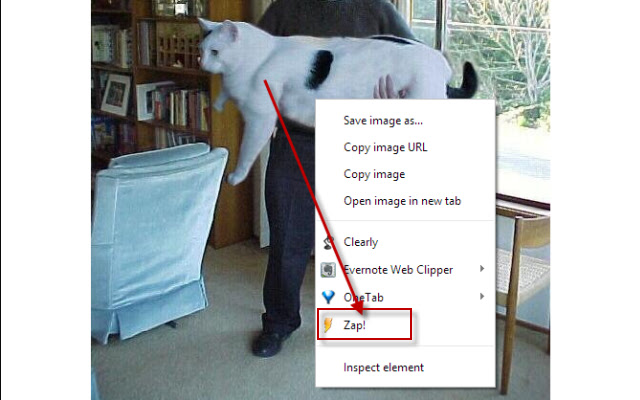 elementZapper chrome谷歌浏览器插件_扩展第1张截图