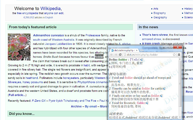 Lookup in Dict.cn chrome谷歌浏览器插件_扩展第2张截图