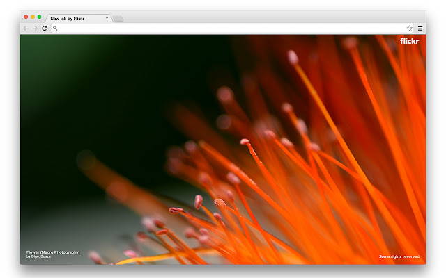 Flickr Tab chrome谷歌浏览器插件_扩展第1张截图