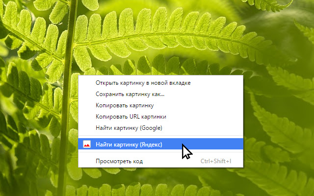 Image search for Yandex chrome谷歌浏览器插件_扩展第1张截图