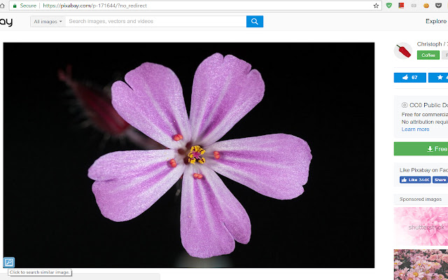 Image Searcher chrome谷歌浏览器插件_扩展第1张截图