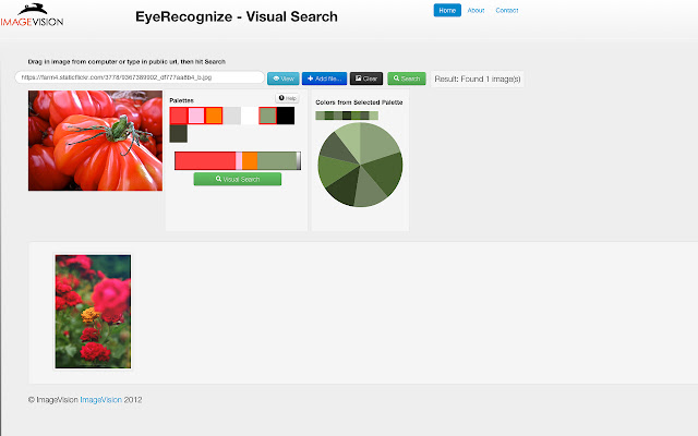Visual Search chrome谷歌浏览器插件_扩展第5张截图