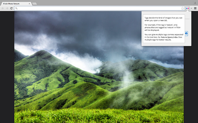 Flickr New Tab chrome谷歌浏览器插件_扩展第3张截图