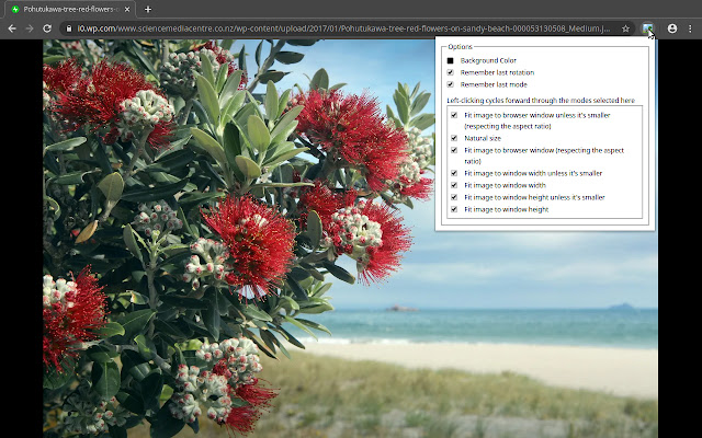 Enhanced Image Viewer chrome谷歌浏览器插件_扩展第1张截图