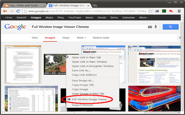 Full Window Image Viewer chrome谷歌浏览器插件_扩展第1张截图