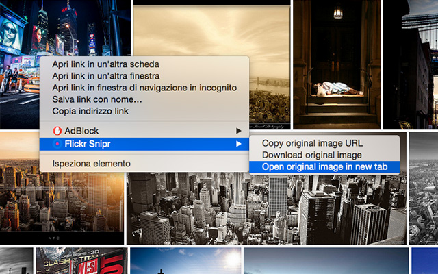 Flickr Snipr chrome谷歌浏览器插件_扩展第1张截图