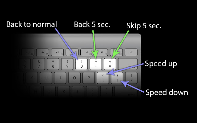 Video Speed chrome谷歌浏览器插件_扩展第1张截图