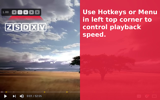 Video Speed Manager chrome谷歌浏览器插件_扩展第1张截图