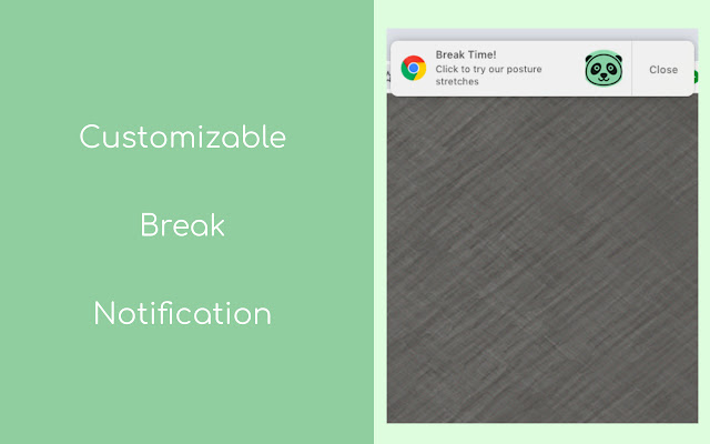 PosturePanda chrome谷歌浏览器插件_扩展第3张截图