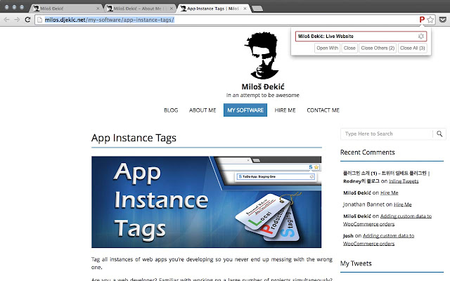 App Instance Tags chrome谷歌浏览器插件_扩展第2张截图