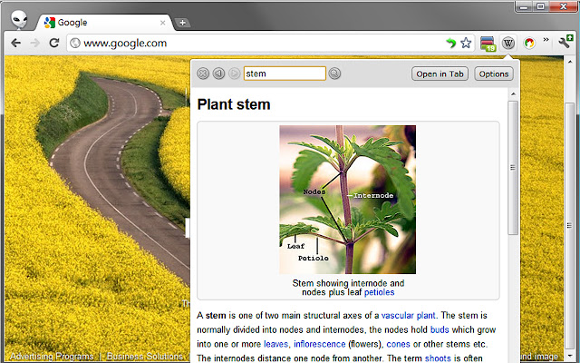 Lookup Companion for Wikipedia chrome谷歌浏览器插件_扩展第6张截图