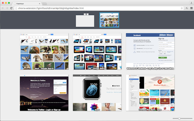 Hawkeye - Intuitive Tab Manager chrome谷歌浏览器插件_扩展第1张截图