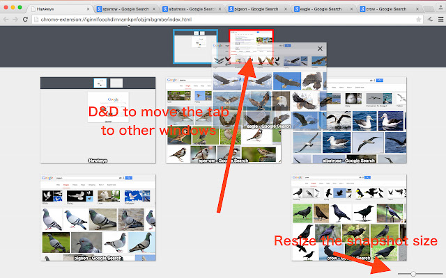 Hawkeye - Intuitive Tab Manager chrome谷歌浏览器插件_扩展第2张截图