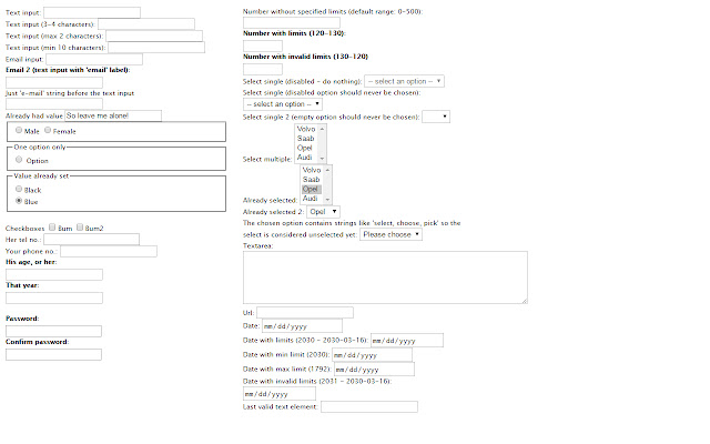 Dummy Form Filler chrome谷歌浏览器插件_扩展第1张截图