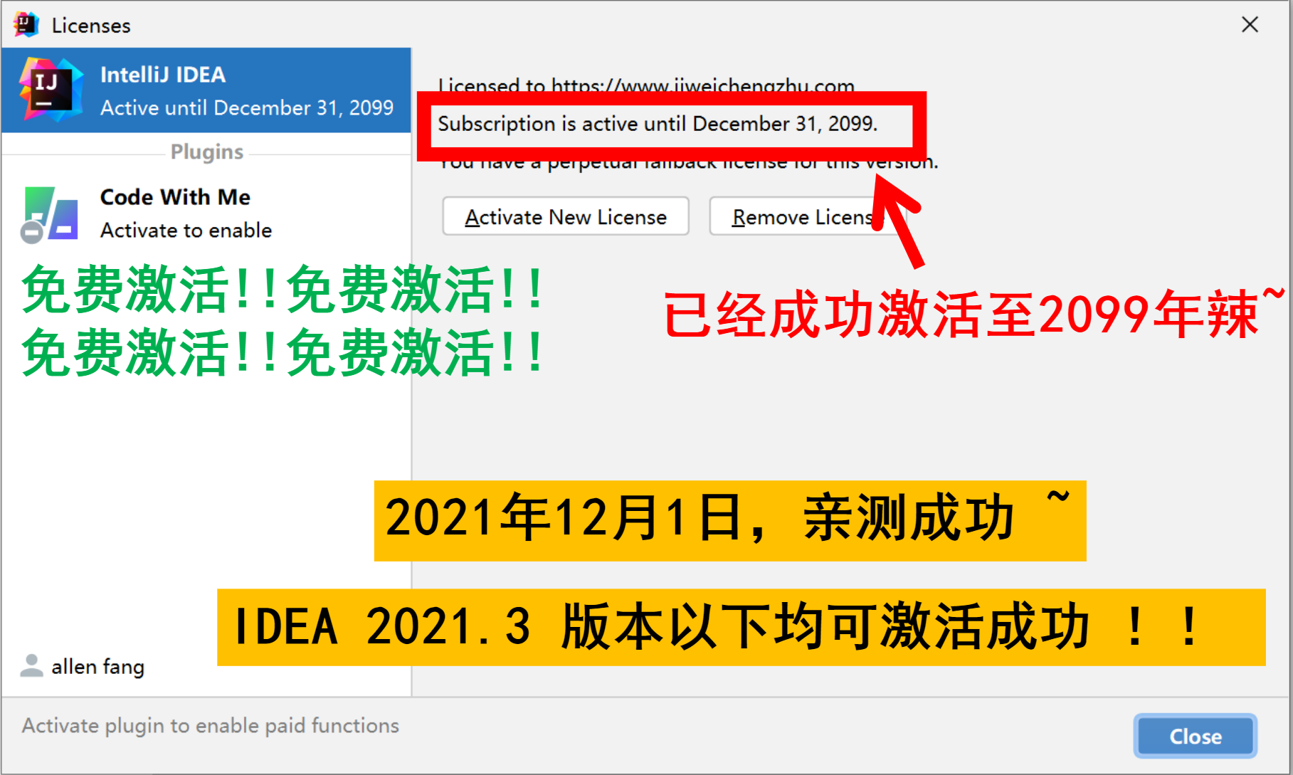 IDEA 2021.3 成功激活至2099年截图