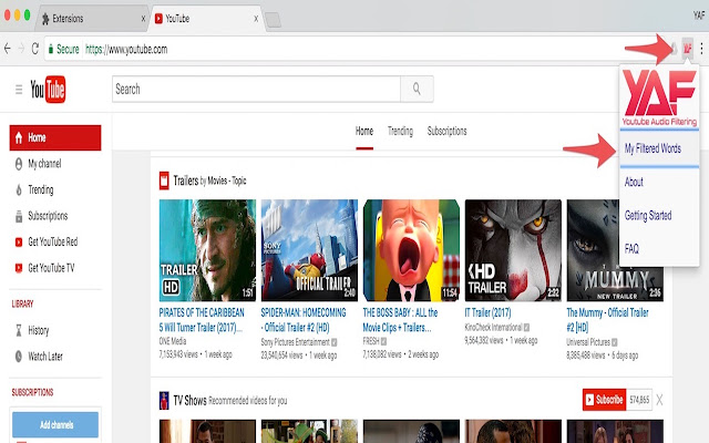 YouTube Audio Filtering chrome谷歌浏览器插件_扩展第2张截图