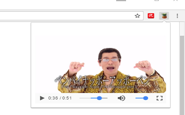 PPAP chrome谷歌浏览器插件_扩展第1张截图