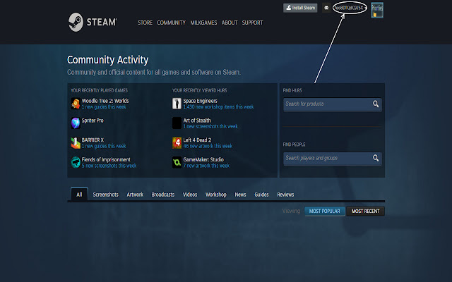 Steam Account Name Hider chrome谷歌浏览器插件_扩展第1张截图