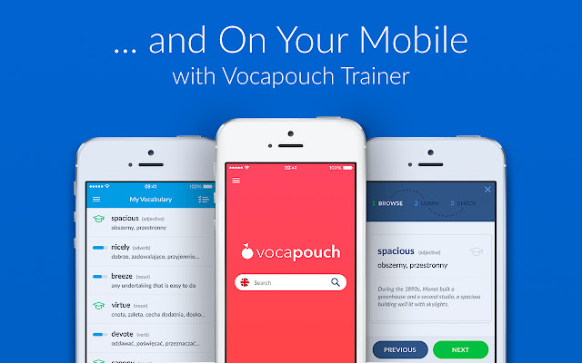 Vocapouch Collector chrome谷歌浏览器插件_扩展第4张截图