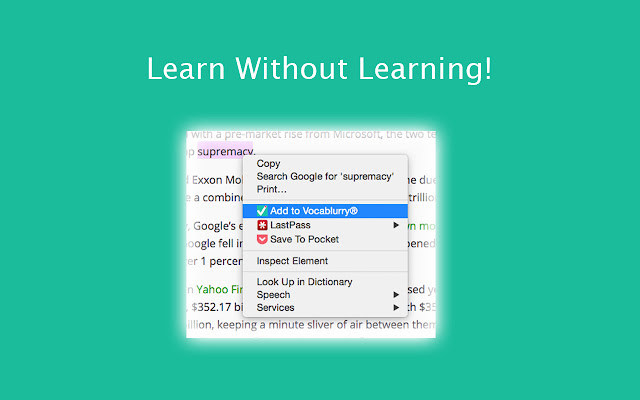 Vocablurry chrome谷歌浏览器插件_扩展第1张截图