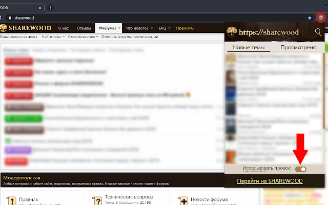 Обход блокировки | SHAREWOOD.BIZ chrome谷歌浏览器插件_扩展第3张截图