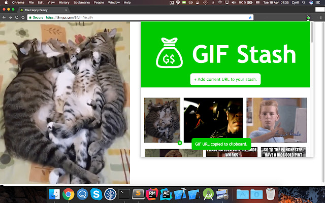 GIF Stash chrome谷歌浏览器插件_扩展第1张截图