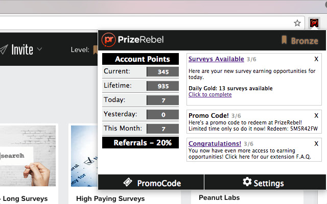 PrizeRebel - Online Paid Surveys for Money chrome谷歌浏览器插件_扩展第1张截图