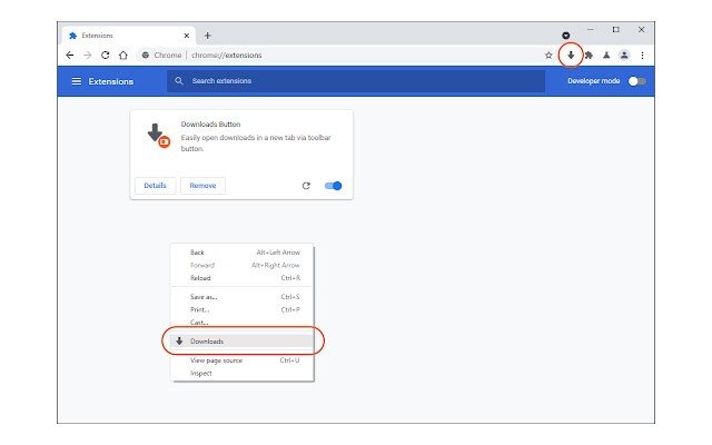 Downloads Button chrome谷歌浏览器插件_扩展第1张截图