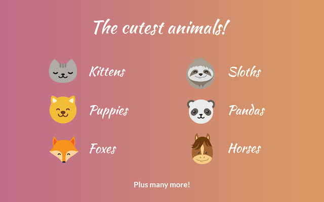 Cute Animal Tab - New Tab Theme chrome谷歌浏览器插件_扩展第3张截图