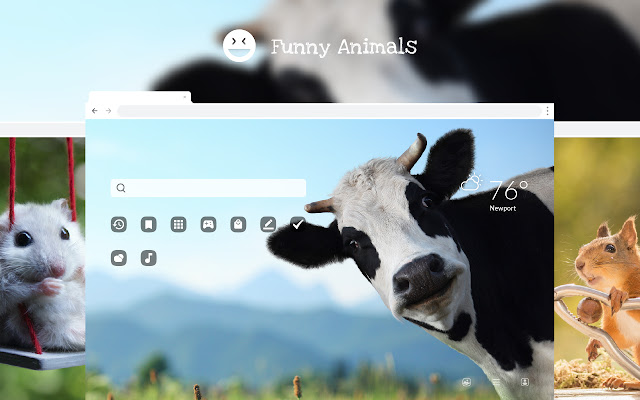 Funny Animals - Hilarious Animal Wallpapers chrome谷歌浏览器插件_扩展第1张截图