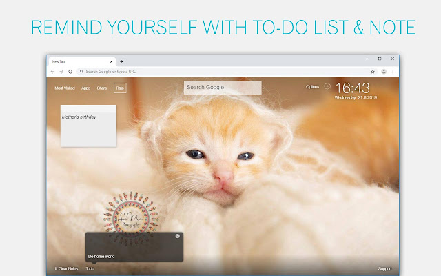 Cute Kittens & Kitty Cats Wallpaper HD NewTab chrome谷歌浏览器插件_扩展第1张截图