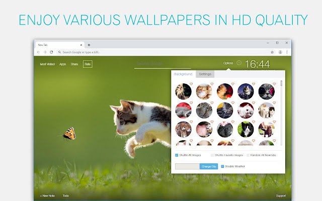 Cute Kittens & Kitty Cats Wallpaper HD NewTab chrome谷歌浏览器插件_扩展第3张截图